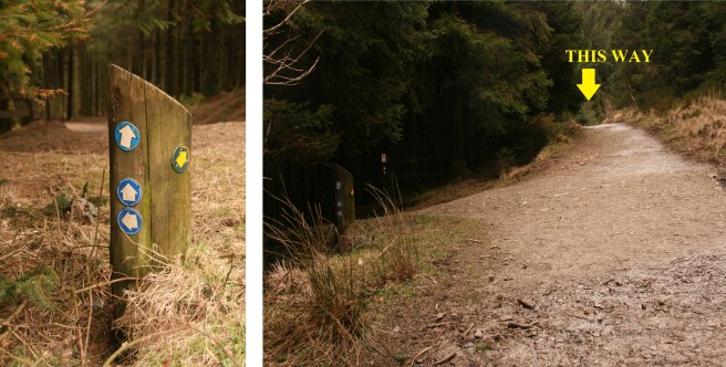 BF10 love lizard dilemma