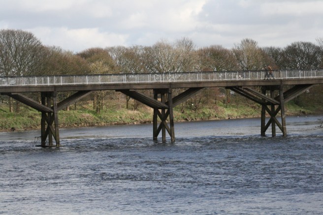 around Preston spring 10 011