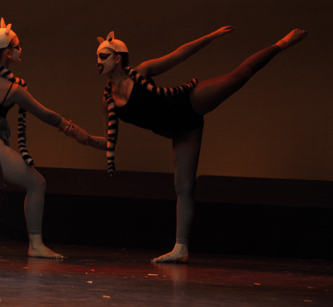 ring tailed 1 cropped.jpg